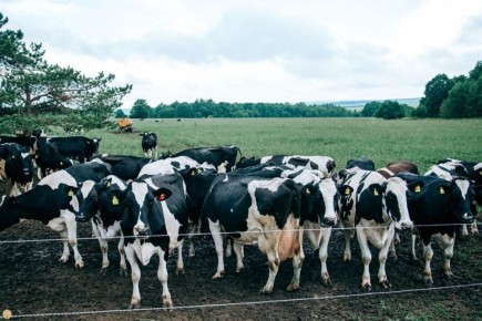 ��� ������ ����� ������������ ��������� ������������?