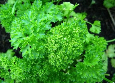 �������� � ���������: ��� ������� ��� ������ �����?