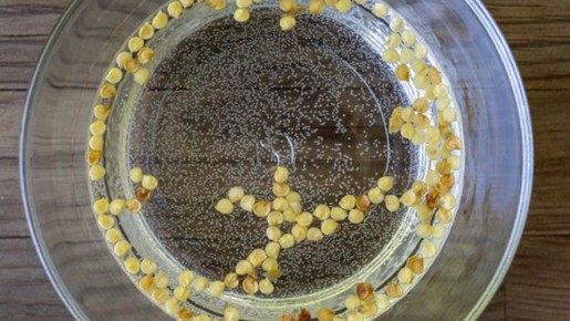 ������ �� �������: ��� �������� ���������������� ������ ��� �������