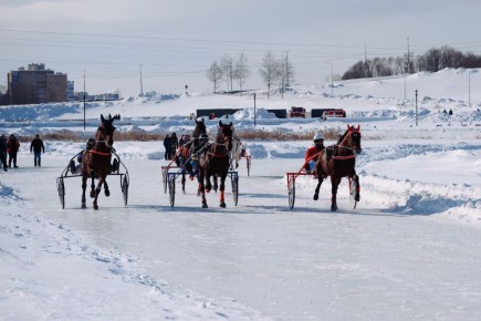 � ���� ��������� ��������� �� ���� �������� ������ ������ ��������� �������� ����� �������