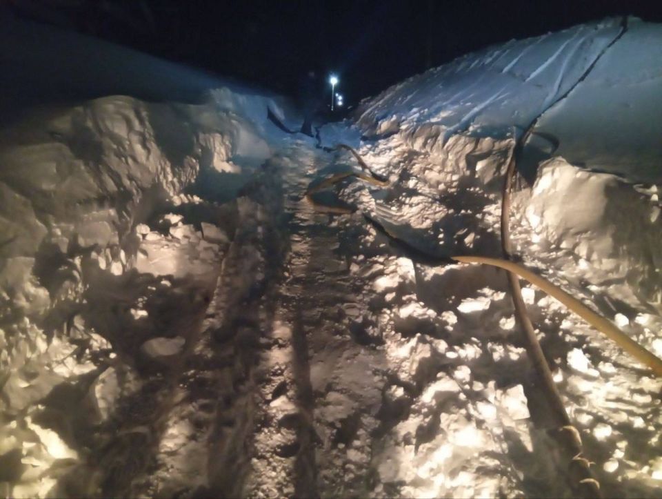 ������������ ����������� ������ ������������ �������� ���������� ���������������� � ������������ ��������� �������� � ��������������� �������������