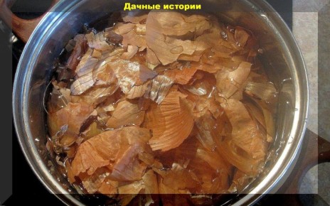 ����������� ������� ���������� ������� ������ �� �������: ������� � �������