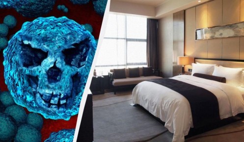 ������� ����� ����������� �������: ��� �������� �� ����� ������