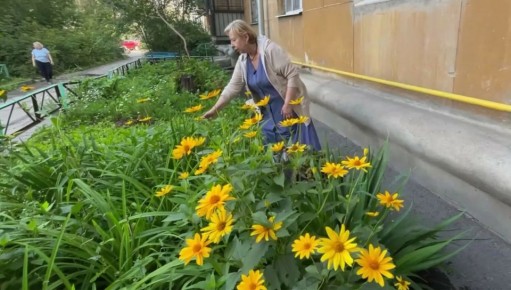 ��� ������� �������� ������� ��� ����� ��� �������� ����� � �����