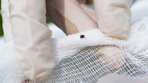 ��������� ����� ������ � �������: ��������� � ����������� ������ ������ ������ �������