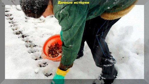 ������� ���������� ������: ��� ��������� ��������� ��� � �����