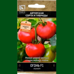 ����� �����: ����� � ��������� �������� ������ �������