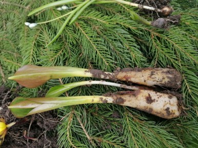 ����� � ����: ��� ����� �������� ��� ������ ��������