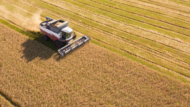 ���� ���: �������� �������