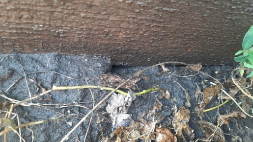 ��� ������ ���������� �� ��������: ������� � ����������� �������