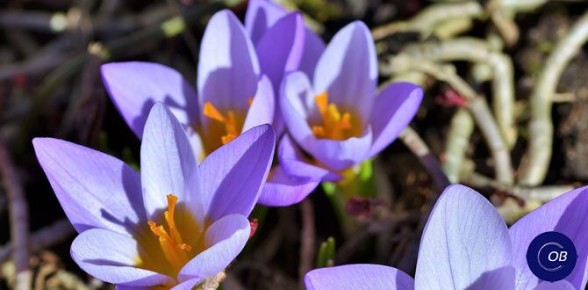 ����������� �������� � �������� ����, ������� ����� ��������