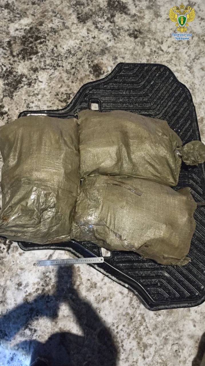 60 кг различного вида наркотиков, предназначенных для дальнейшего сбыта, пыталась провести через Чувашию жительница г.Новосибирска. Ее "караван" был остановлен на территории Ибресинского округа 60 кг различного вида наркотиков, предназначенных для дальнейшего сбыта, пыталась провести через Чувашию жительница г.Новосибирска. Ее "караван" был остановлен на территории Ибресинского округа