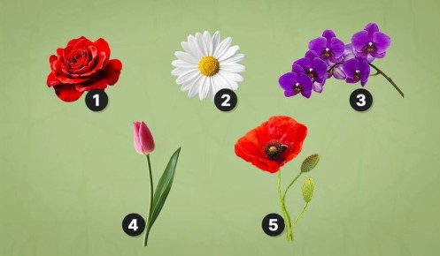 ��� ����� ����� �������� ����� ����� ����: ��������� ���� �� ���������� ��������