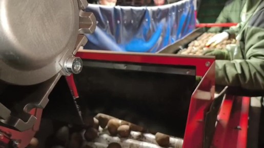 �������� ����� ��������� ���� �� ������ ���������� �������� ���������� � 2026�