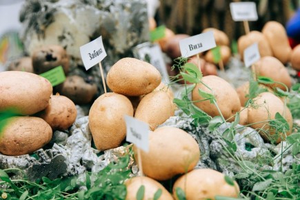 � ����������� ������ ����� ����������� �������� ���������