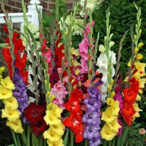 ���������� � ����� ����: ��� �����, � ��� �� �������