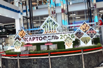 ��������������� ����� ������� ��� �������� ���������� � 2026�