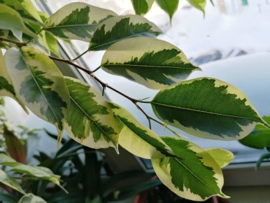 ��� ���������� � ������� ����������: ������� ��������� �����