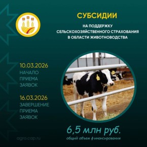 ������������ ��������������