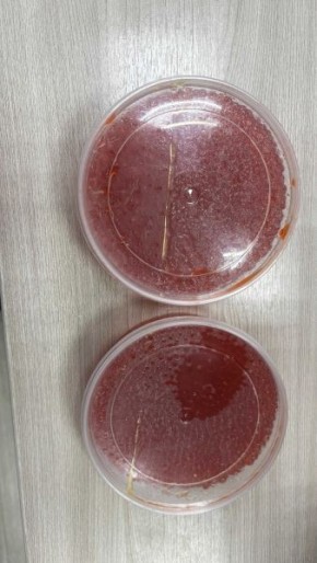 � ������� ����������� ��������� �������������� � ����� ������������� �����������, ������� ������ � �������, ������ �������������� ����� �� ��������