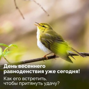 ����� ������!. ������� ���� � ������ ������� ������� ��������