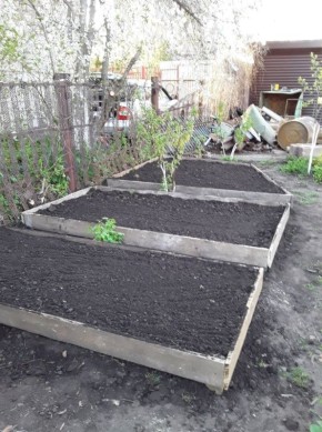 ��� �������� � ��������� ����� � ����� ������?