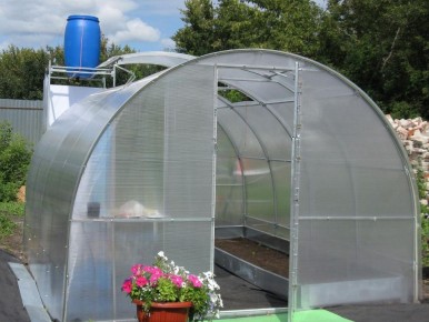 Весеннее обновление теплицы: лучшие средства для генеральной уборки