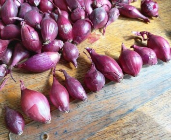 ������� �������� ������� ���� ����� ������