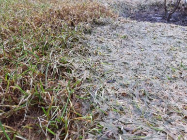 ������ ������ ������: ����� �� ���������� �����?