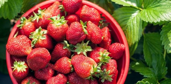 ��� �������� ��������� ������ ��������: ����� ������� ����� �� ����� ����� �����