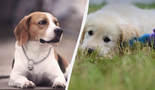 ��������� � �����������: 13 ����� ����� � ������ ����������