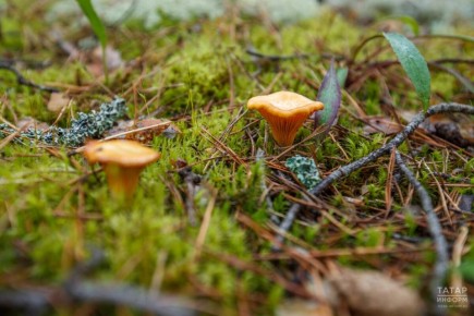 ������� ����� � ����� ������� ������� ������� ������ � ������