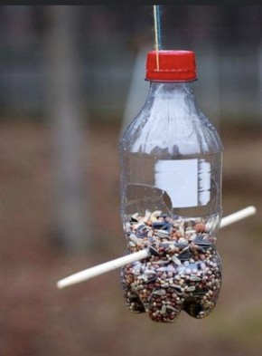 Как быстро сделать кормушку для птиц: полезные советы на каждый день