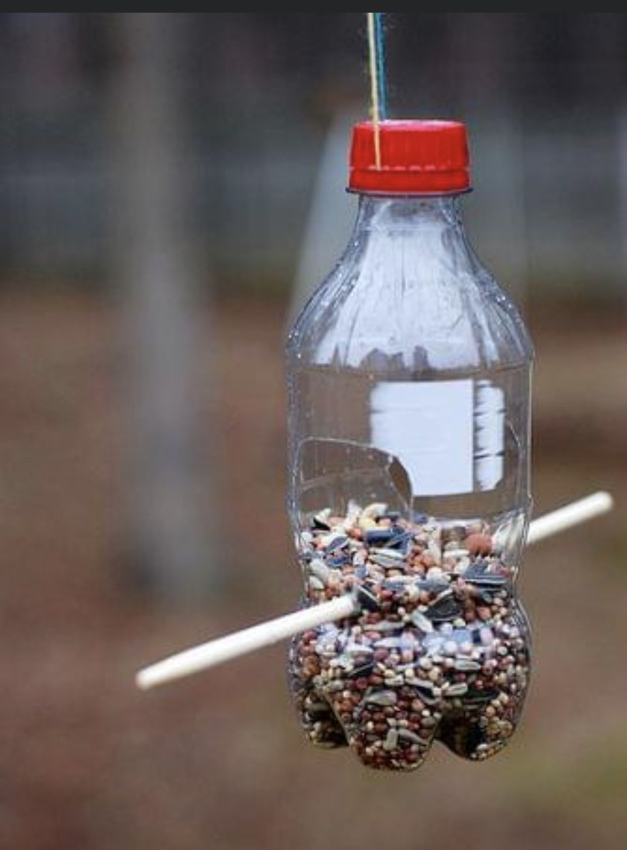 Как быстро сделать кормушку для птиц: полезные советы на каждый день