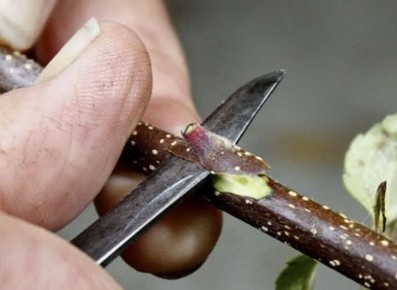 ��� ��������� ������ ���������� ������ � ���� �� ���� ������� �����