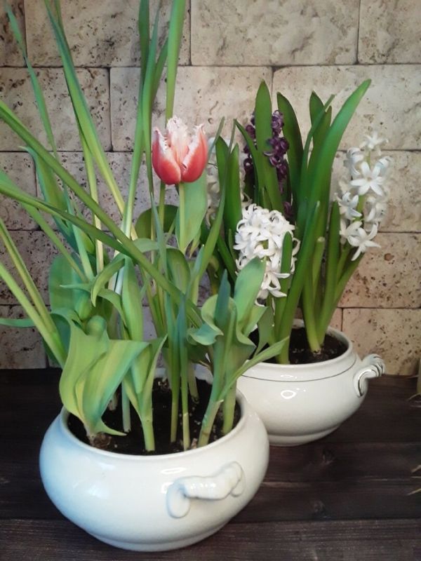 ����������� � �������� � ��������� � ����������� � ����������� �������