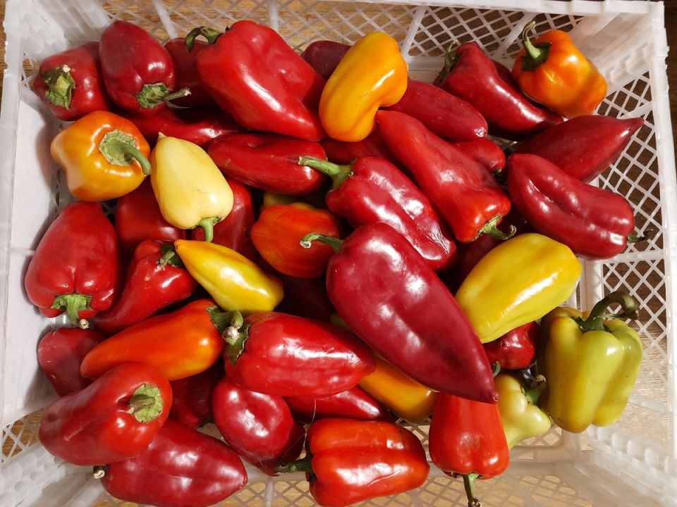 ������� ������ ������ �������� �����: ��� ����� ����� �����������