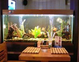 �������� ���������: ��� �������� �������� �� ������