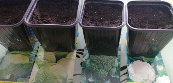 ������� �� �������: ������ ������ � �������� ��� ��������� ������