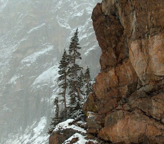 ��� �������� ������: ����������� ������� ������� �����