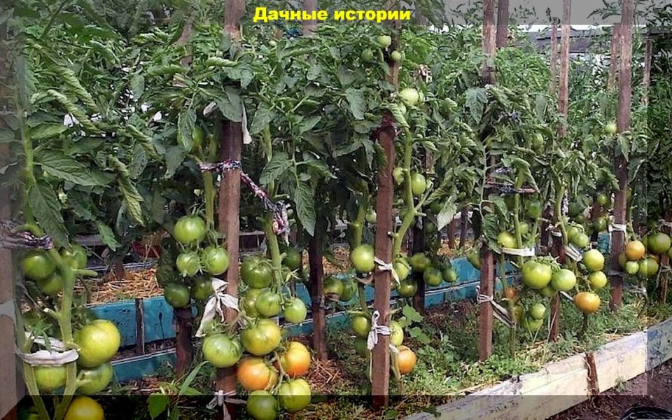 ��������� ������� ���������� ��� ��������� �������