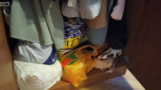 ��� �� ������������ � �������� �����: ����� �� ������ �����