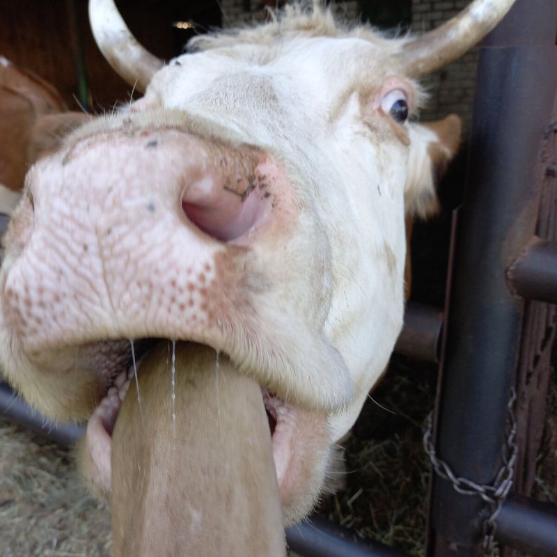 ��� ���� ������ �������� ����������� ����-����� � �������� � ������� ����������