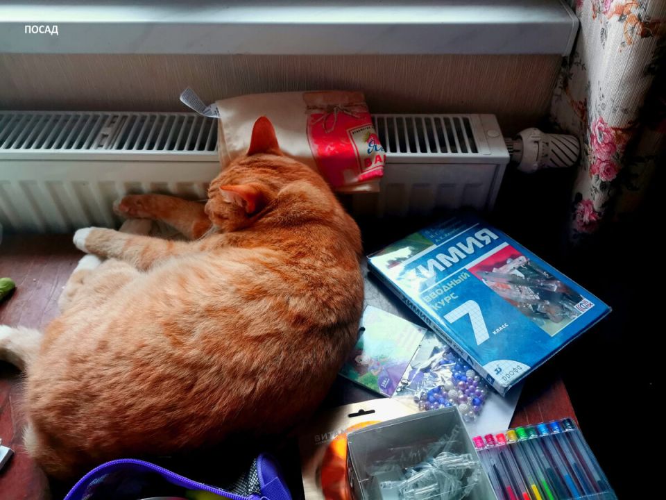 ��� �� �������: ��� �� ����� ���� ���������� �� ��������� �����������