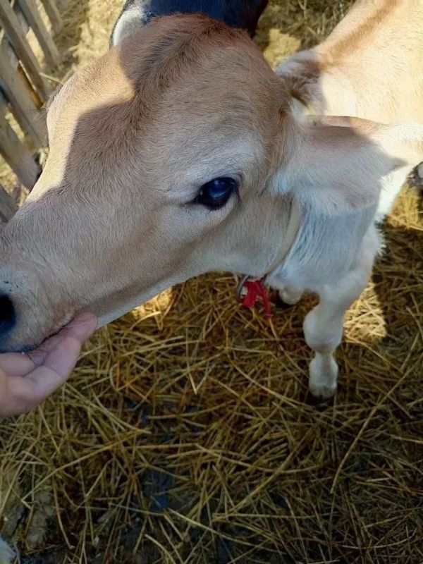 ������ ����, ������!. ��������� � ��� �������� ��� � �������������� ������������ �����, ������� ��������� ����� ���� � ������������ � ���������