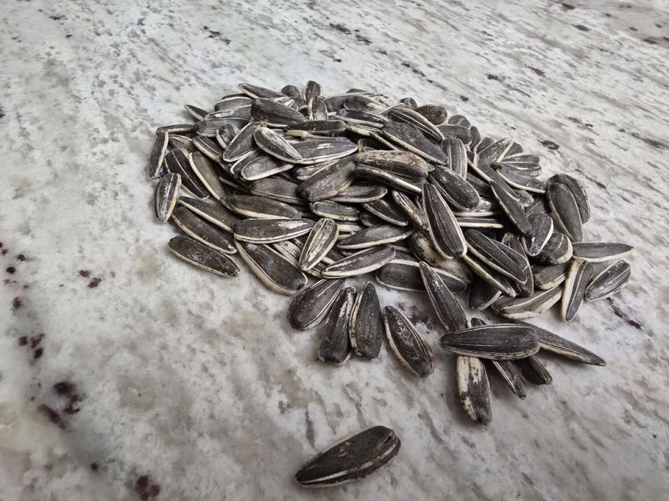 ������� �������: ����� �������� ������� ��� ���������� �����