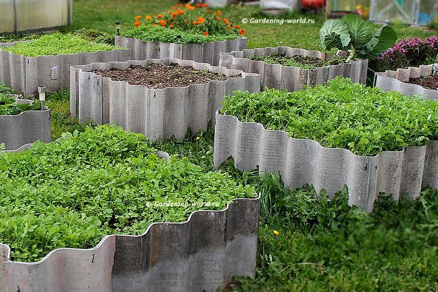 ��� �������� �������� ���������� ����� � ��������� ������