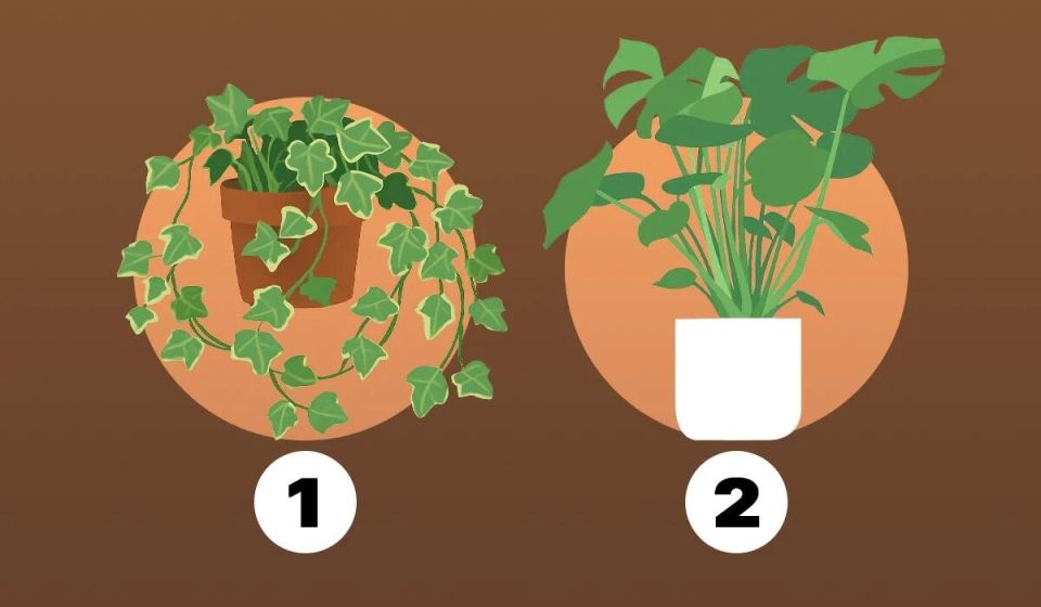 ��� ���� ���������� ��� ������ �� ����������� ���������� ������