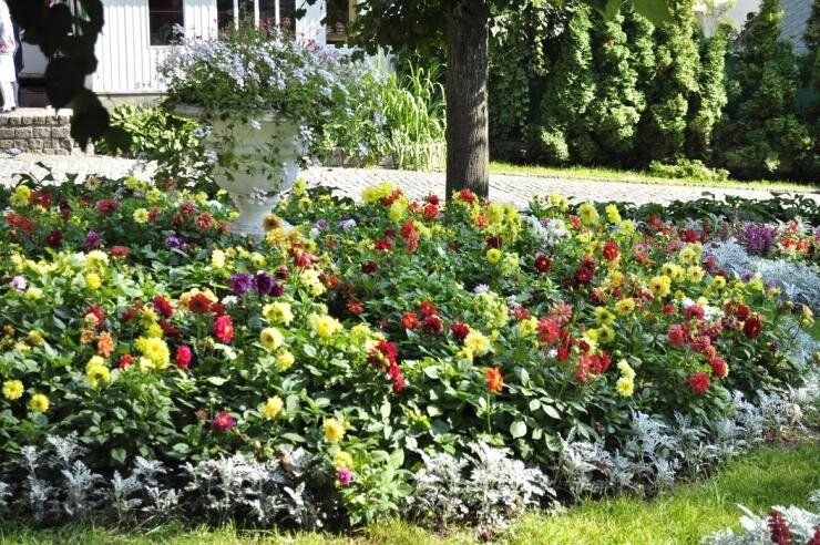 ���� ��� ���������� �����: ����������� ��� ������ ����