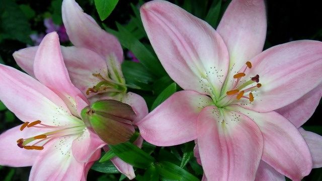 ����� � ����� ����: ���� �������� ���������� ��������